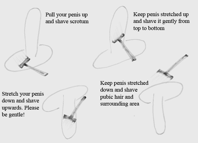 Mens Pubic Hairstyle
 Male Pubic Hair and Scrotum Shaving Benefits and Tips