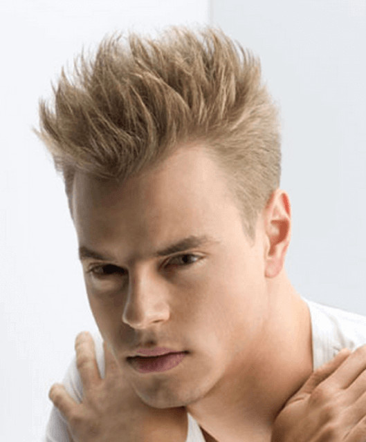 Mens Punk Hairstyles
 Mens Punk Hairstyle