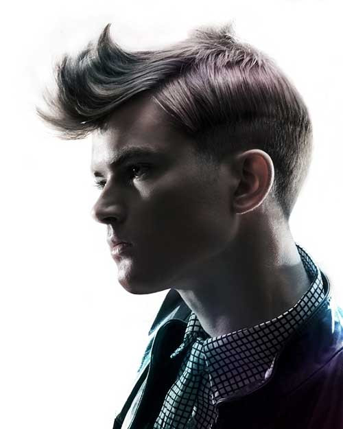 Mens Punk Hairstyles
 15 Punk Hairstyles for Men