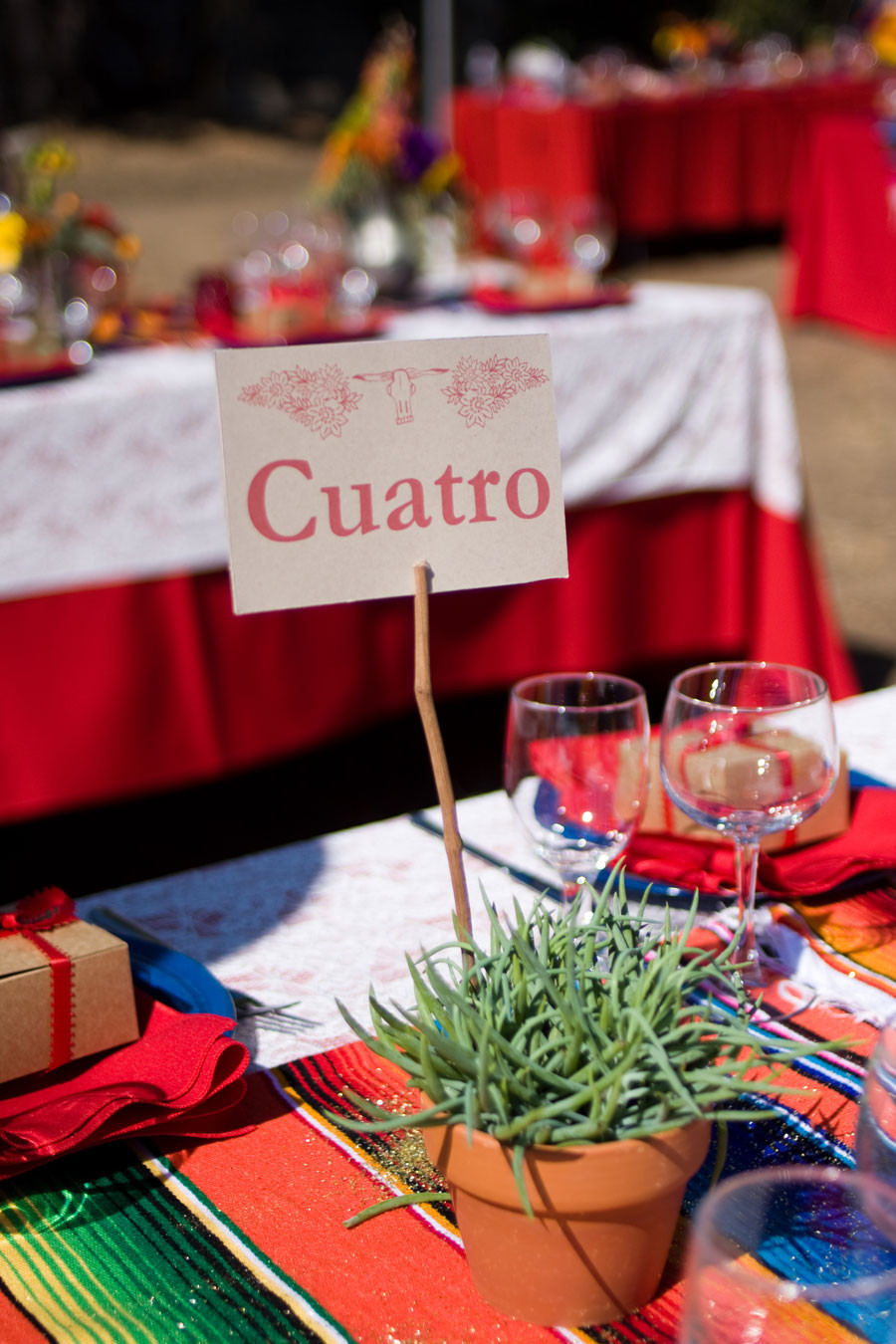 Mexican Engagement Party Ideas
 mexican themed wedding