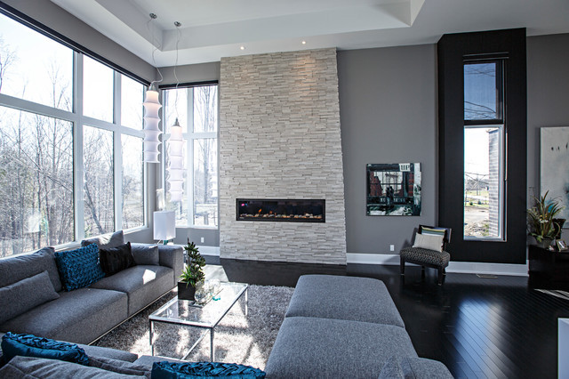 Modern Grey Living Room Ideas
 Contemporary living room in grey tones Contemporary