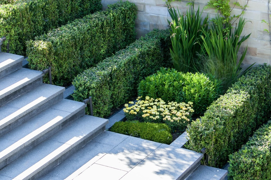 Modern Landscape Design
 How to Add Modern Elements to Your Landscape Design