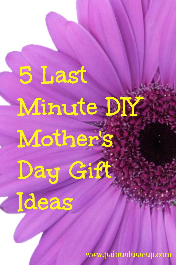 Mother Day Gift Ideas Last Minute
 5 Last Minute DIY Mother s Day Gift Ideas