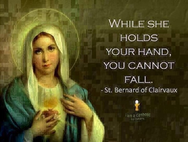 Mother Mary Quotes
 77 Interesting Virgin Mary Quotes And Sayings About Mary