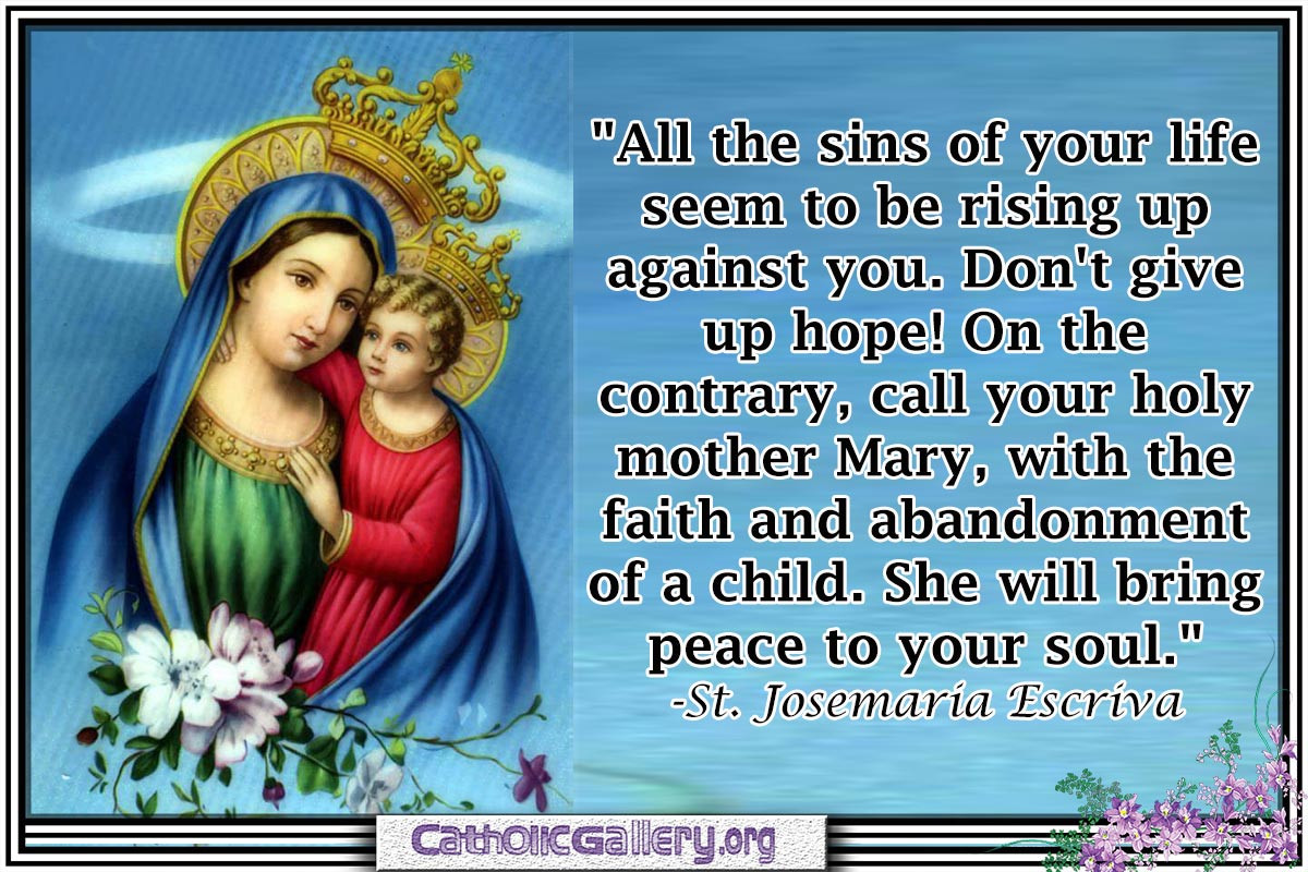 Mother Mary Quotes
 Catholic Quotes And Sayings QuotesGram