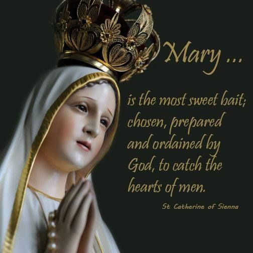 Mother Mary Quotes
 Beautiful quote about Mother Mary from St Catherine of