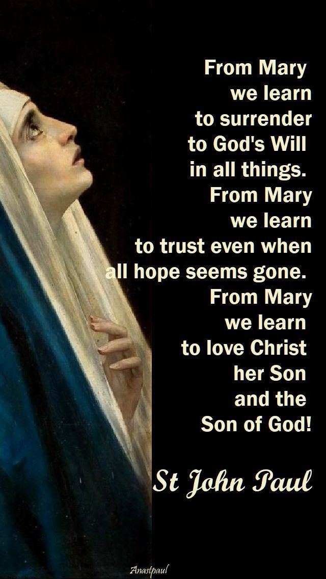 Mother Mary Quotes
 Quote s of the Day – September the Month of Our Lady of