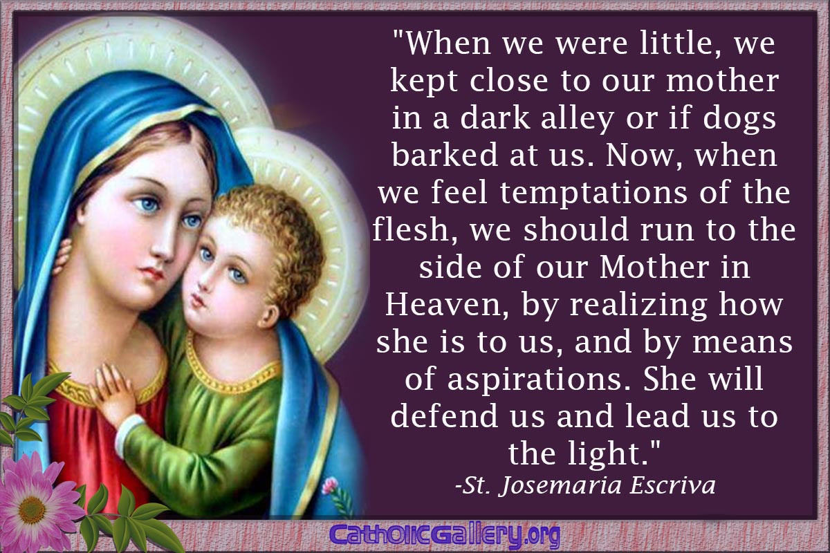 Mother Mary Quotes
 Mary Catholic Quotes QuotesGram