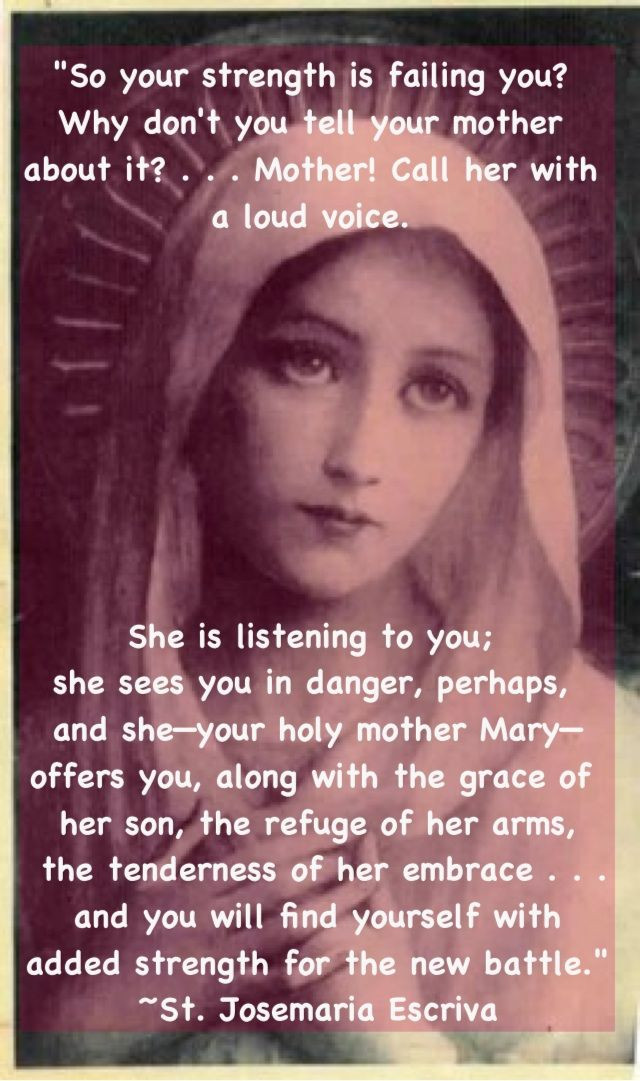 Mother Mary Quotes
 St Mary Quotes QuotesGram