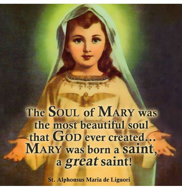 Mother Mary Quotes
 St Alphonsus Maria De Liguori "The soul of Mary was the