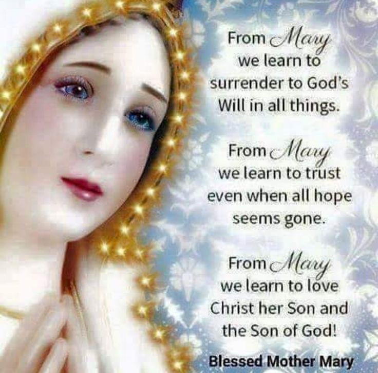 Mother Mary Quotes
 Inspiring Virgin Mary Quotes