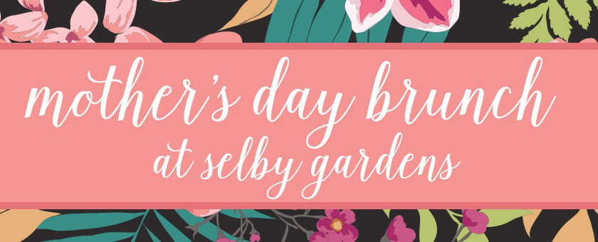 Mother'S Day Dinner Specials
 Mother s Day Menu at Selby Gardens Michael s East Blog