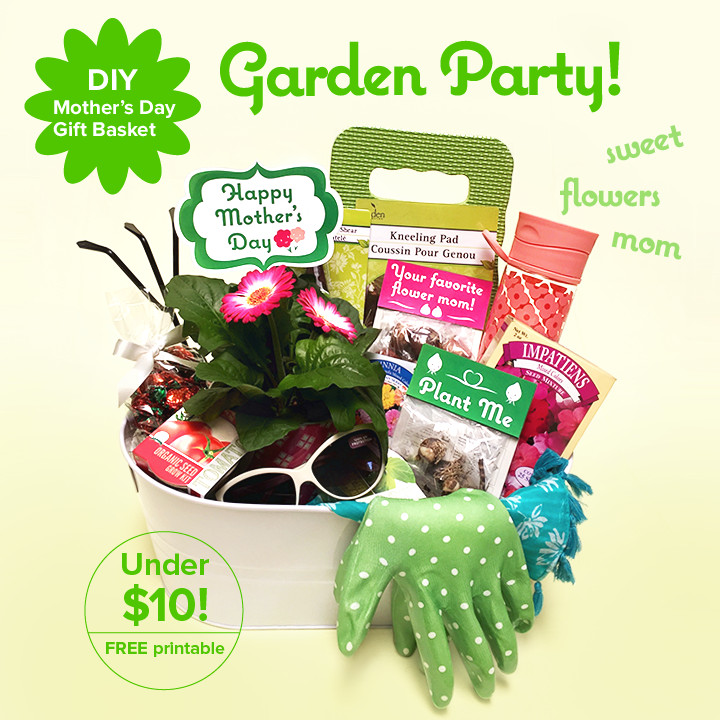 Mother'S Day Gift Basket Ideas Diy
 DIY Mother’s Day Gift Basket – Garden Party Under $10