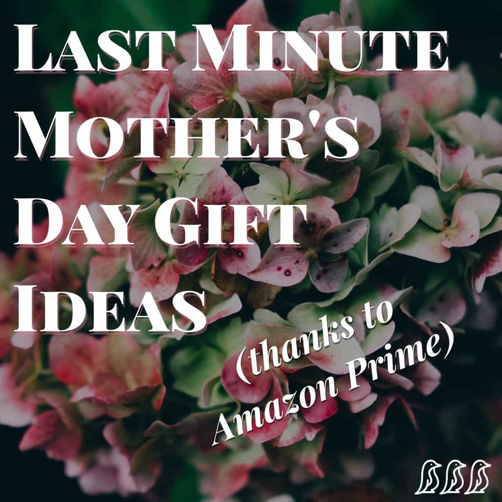 Mother'S Day Gift Ideas Amazon
 Last Minute Mother s Day Gift Ideas thanks to Amazon