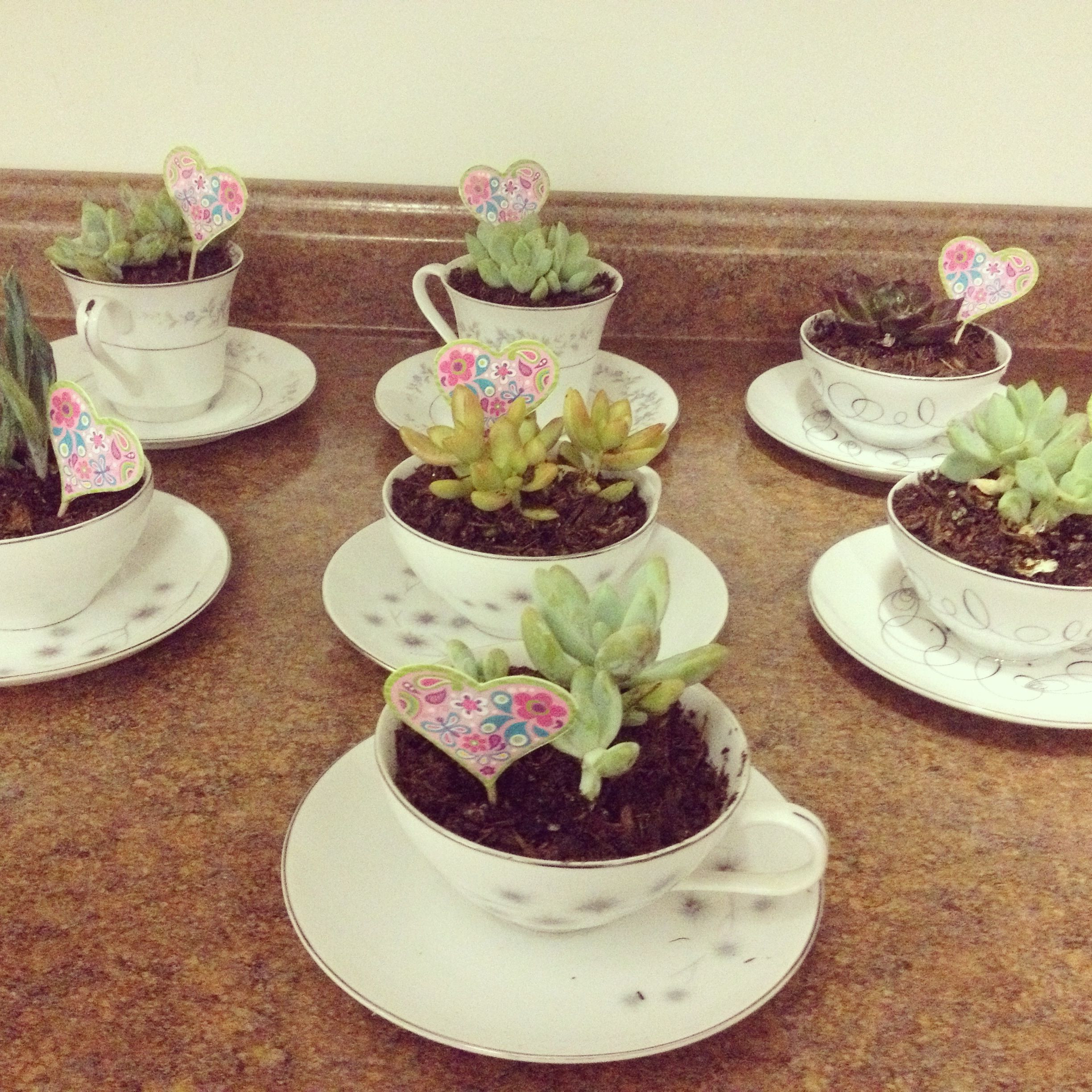 Mother'S Day Gift Ideas For Church Ladies
 Succulents are survivors as real la s are survivors