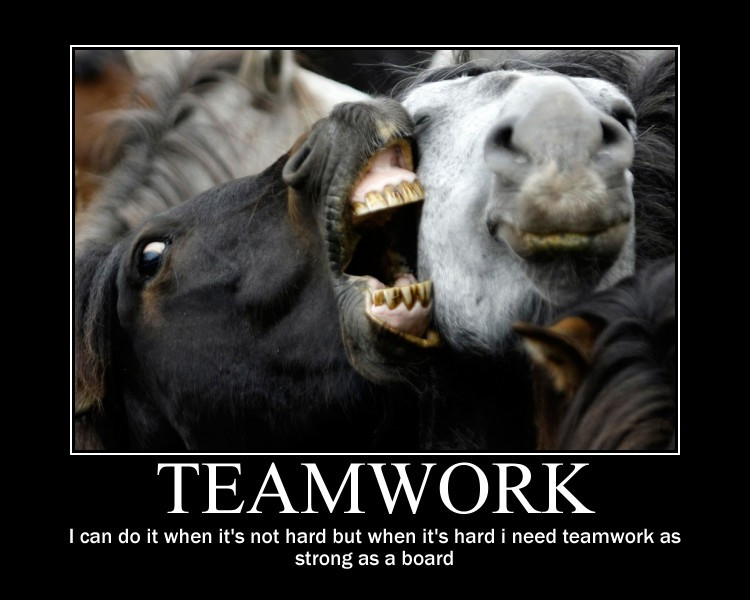 Motivational Quote For Teamwork
 Funny Motivational Quotes About Teamwork QuotesGram