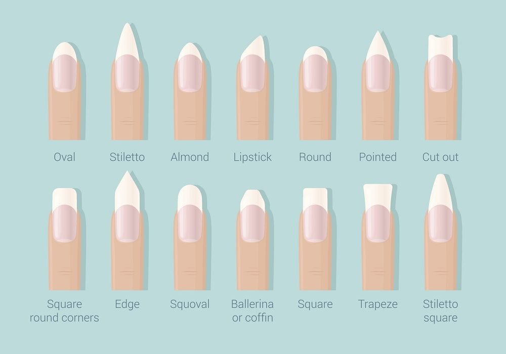 Nail Styles Names
 The Ultimate Guide to Nail Shapes – Super