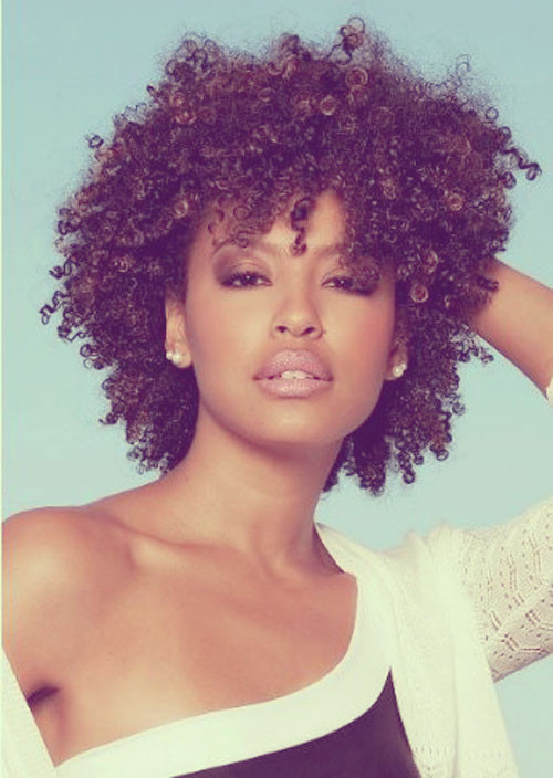 Natural Curly Hair Hairstyles
 Dear white people let me inform you about black people