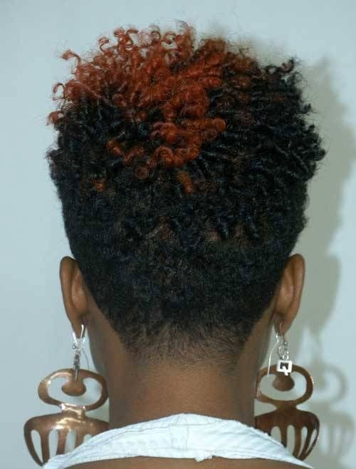 Natural Hairstyle For Short Hair
 Very Short Natural Hairstyles for Black Women