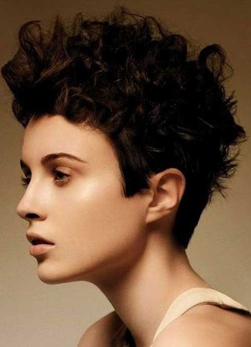 Nice Haircuts For Curly Hair
 30 Short Haircuts for Curly Hair 2015 2016