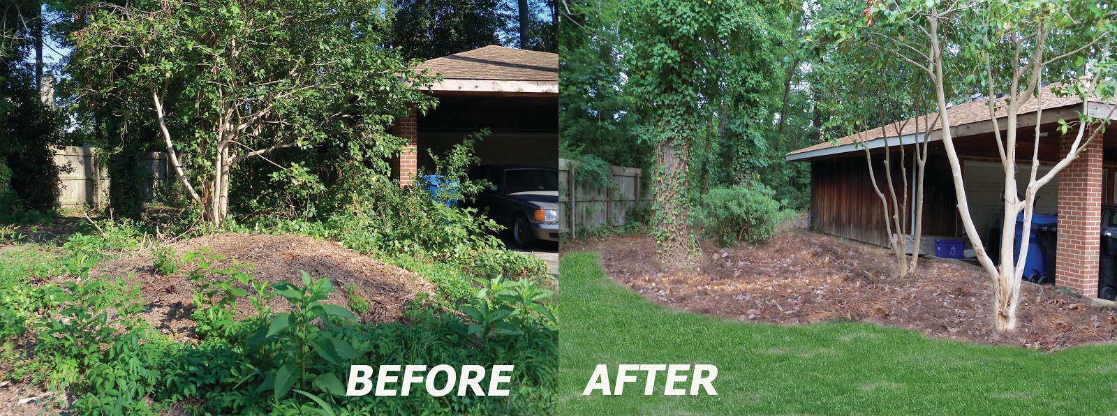 Outdoor Landscape Before And After
 Dr Dan s Garden Tips Before and After