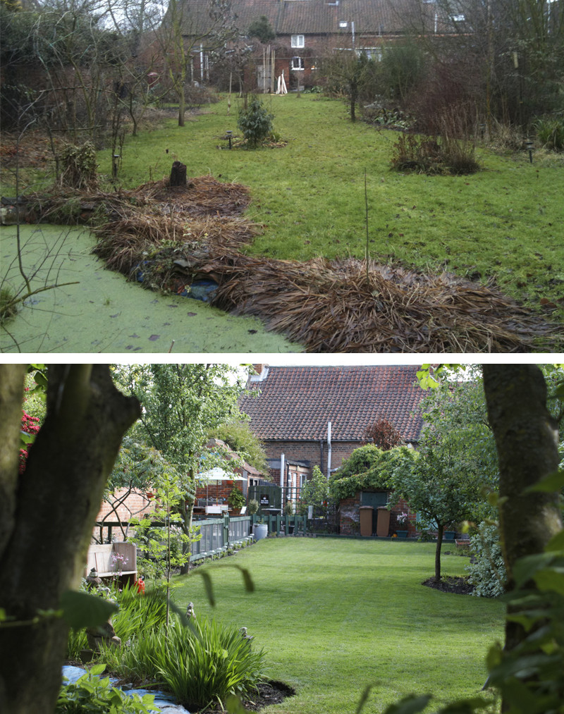 Outdoor Landscape Before And After
 Design Solutions