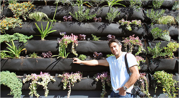 Outdoor Landscape Decor
 Jamie Durie Looks for Outdoor Décor The New York Times