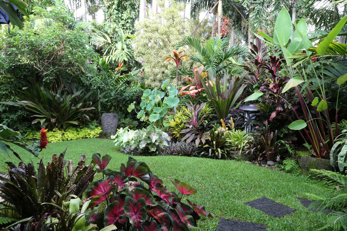 Outdoor Landscape Tropical
 How To Create A Tropical Garden Even In The UK