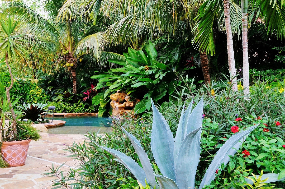 Outdoor Landscape Tropical
 Tropical Landscape Garden Design Miami Knoll Landscape