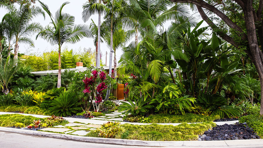 Outdoor Landscape Tropical
 How to Design a Lush Tropical Retreat Sunset Magazine