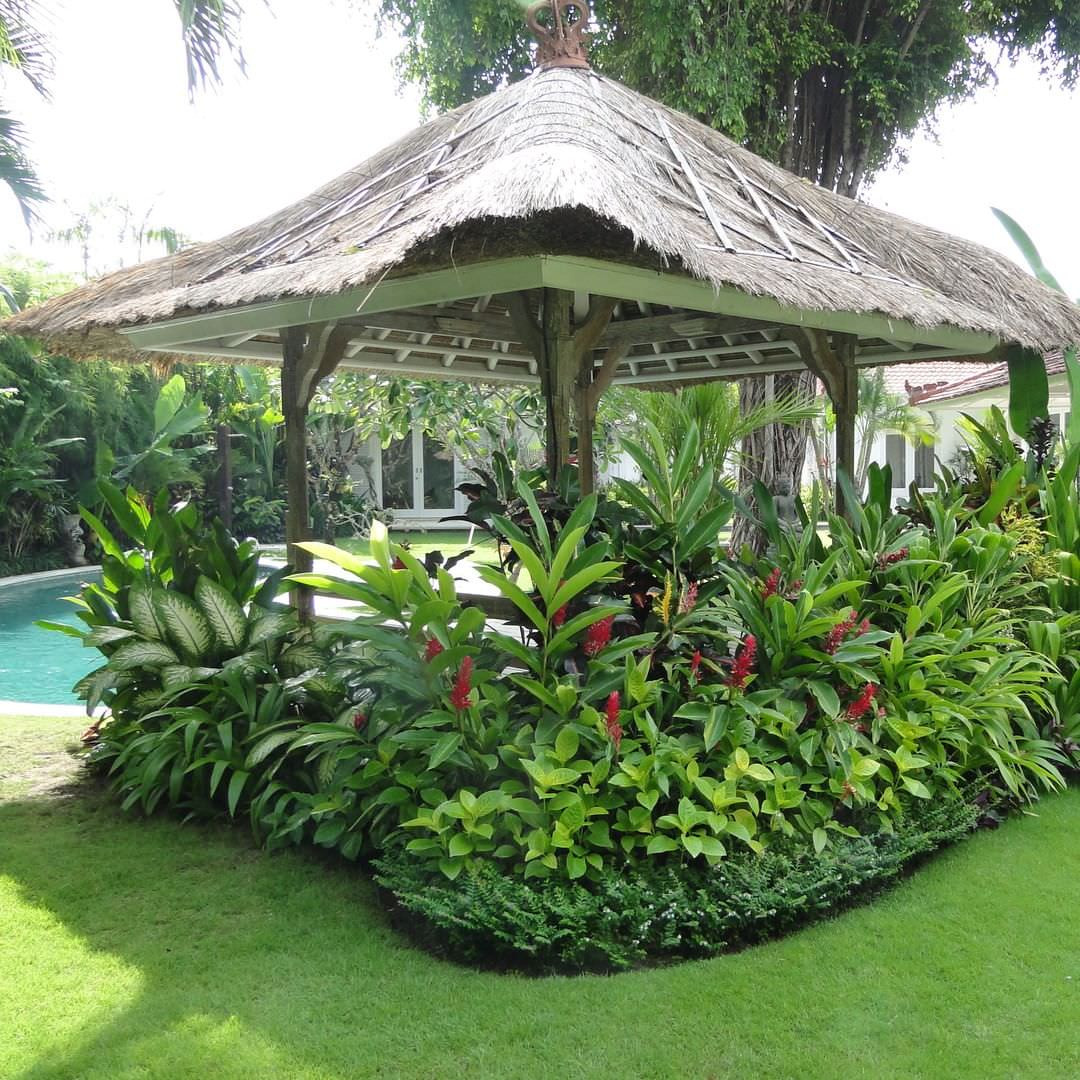 Outdoor Landscape Tropical
 24 Tropical Garden Designs Decorating Ideas