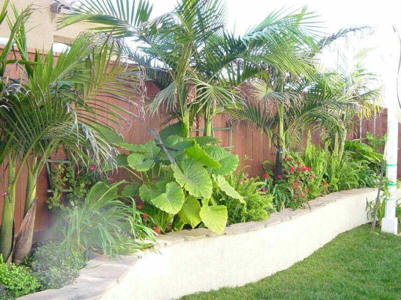 Outdoor Landscape Tropical
 Screen lower house blockwork tropical landscaping