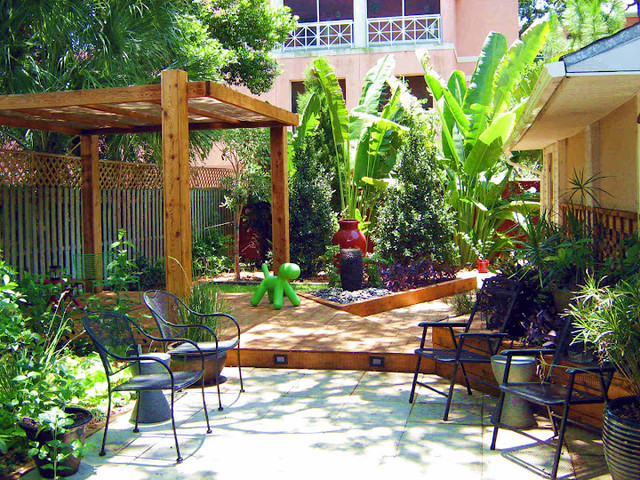 Outdoor Landscape Tropical
 Tampa Modern Landscape Tropical Landscape tampa by