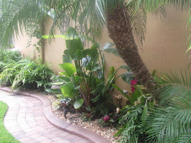 Outdoor Landscape Tropical
 Tropical Florida