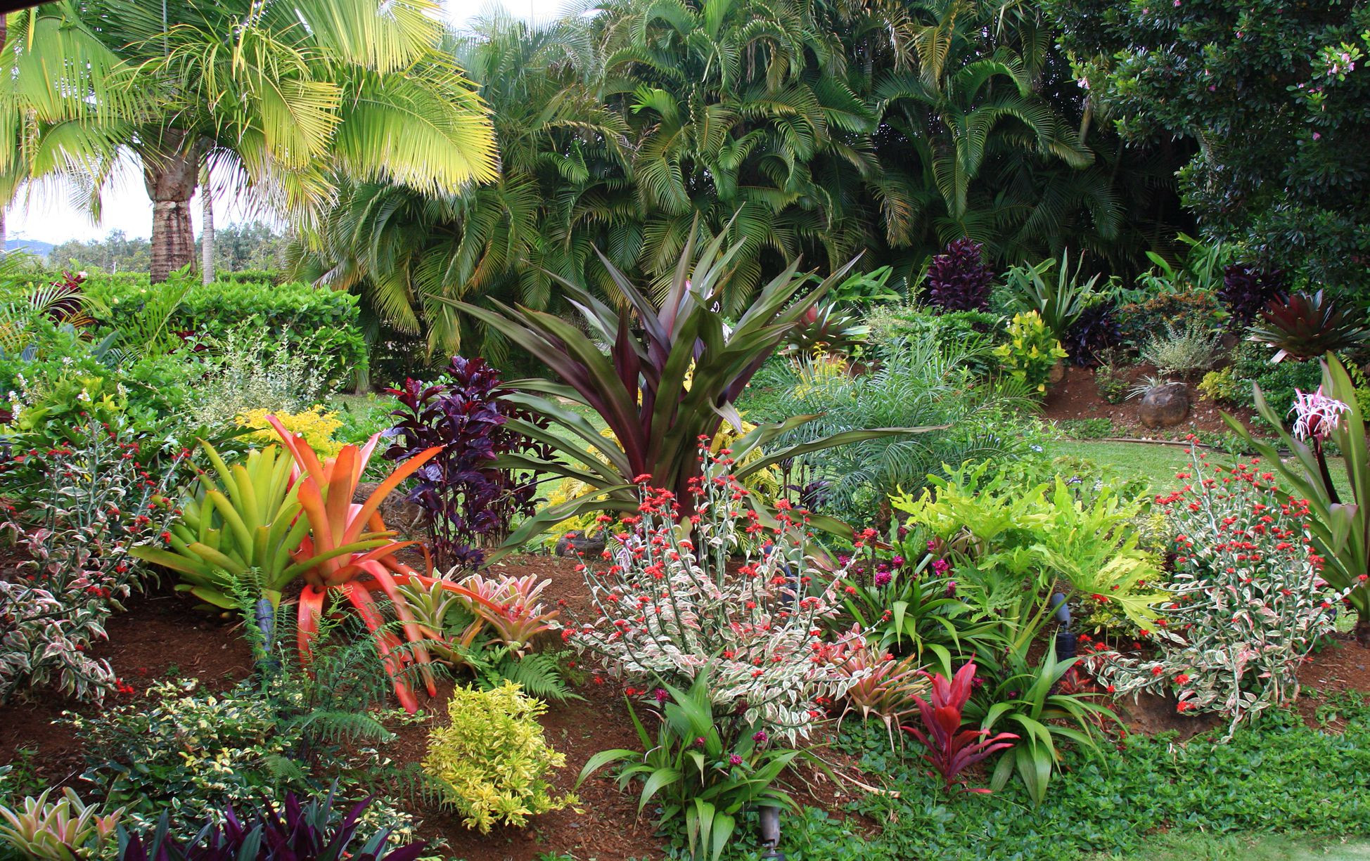 Outdoor Landscape Tropical
 Tropical Flower Garden Design Ideas