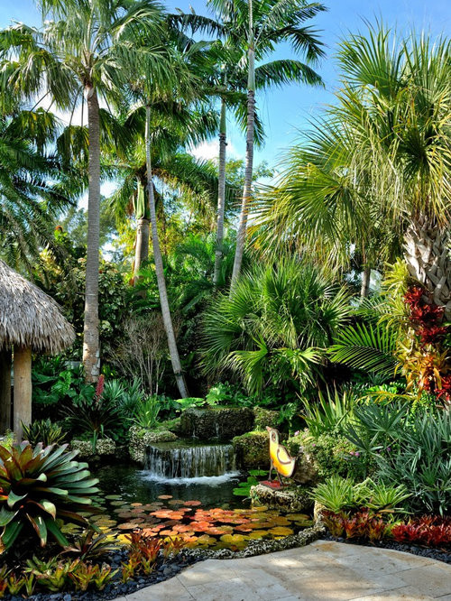 Outdoor Landscape Tropical
 Tropical Garden