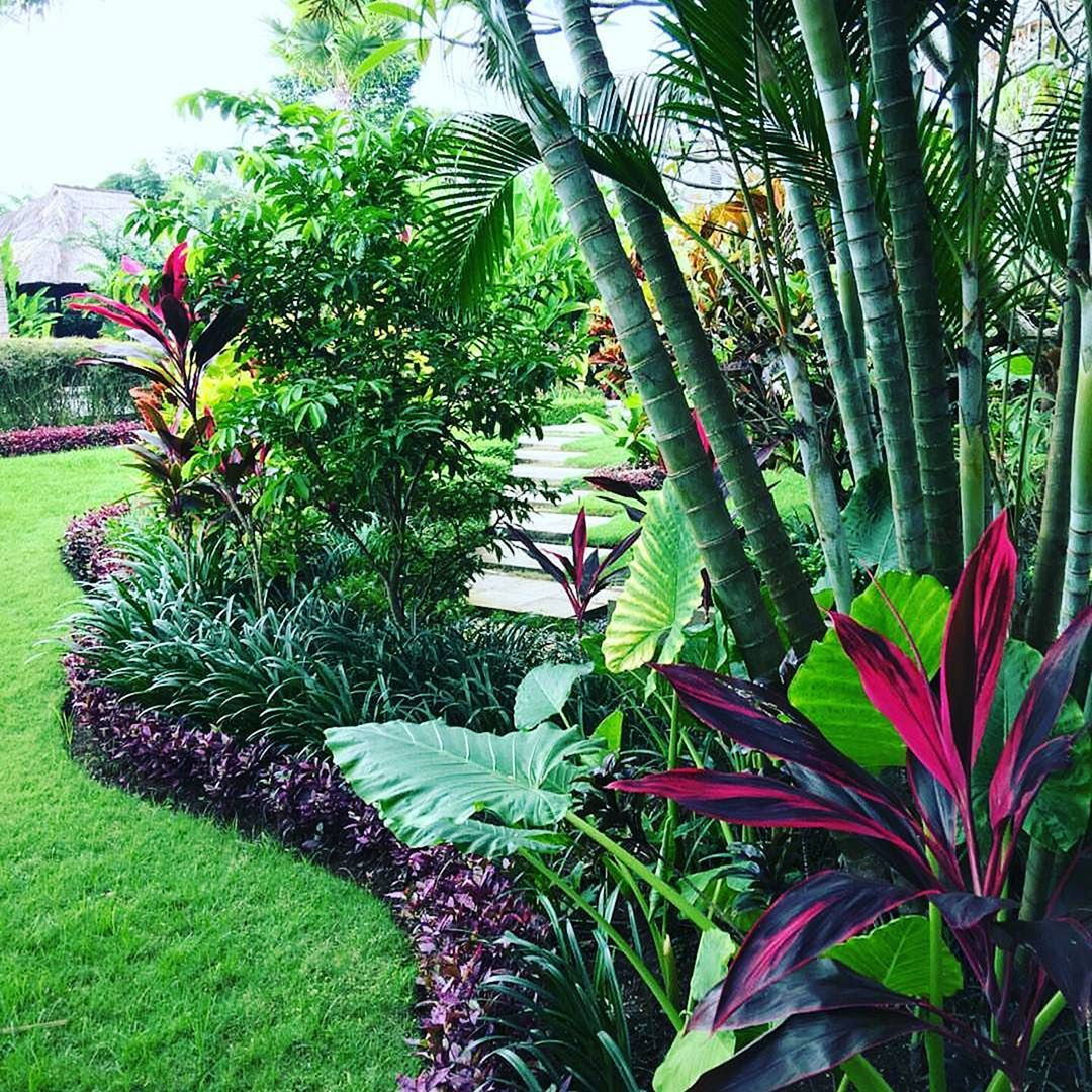 Outdoor Landscape Tropical
 15 Beautiful Tropical Front Yard Landscape Ideas To Make