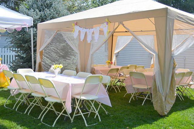Outside Baby Shower Decoration Ideas
 Outdoor Baby Shower party