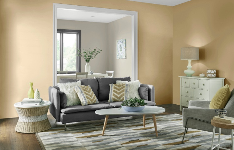 Paint For Living Room
 Living Room Paint Colors The Home Depot