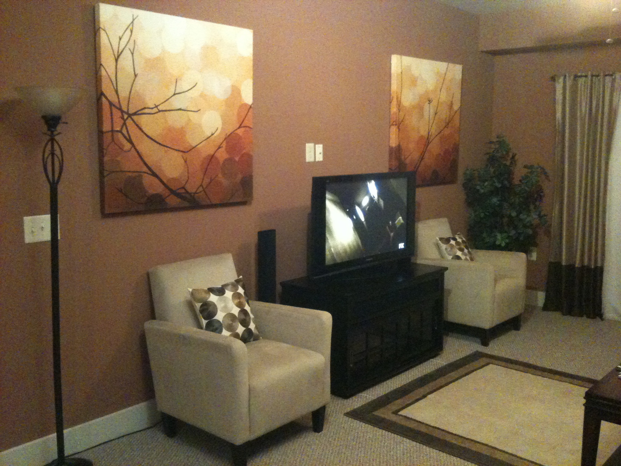 Paint For Living Room
 fice Room With TV