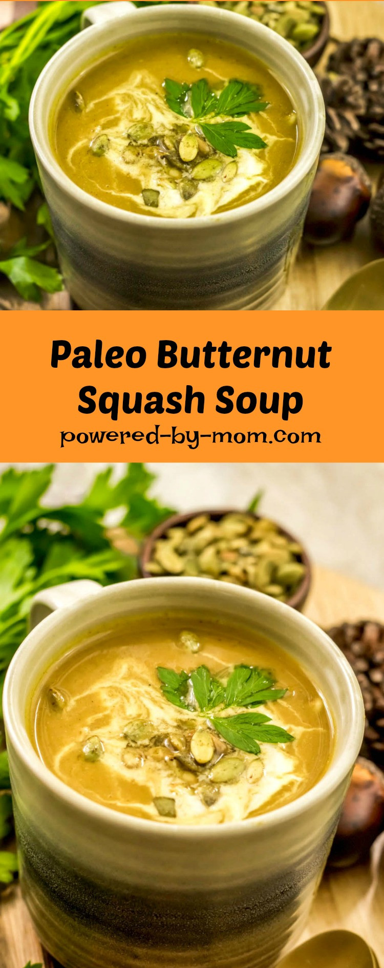 Paleo Butternut Squash Soup
 Paleo Butternut Squash Soup Recipe Powered By Mom