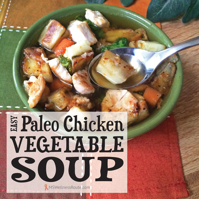Paleo Chicken Vegetable Soup
 Easy Paleo Chicken Ve able Soup MS Wellness Route