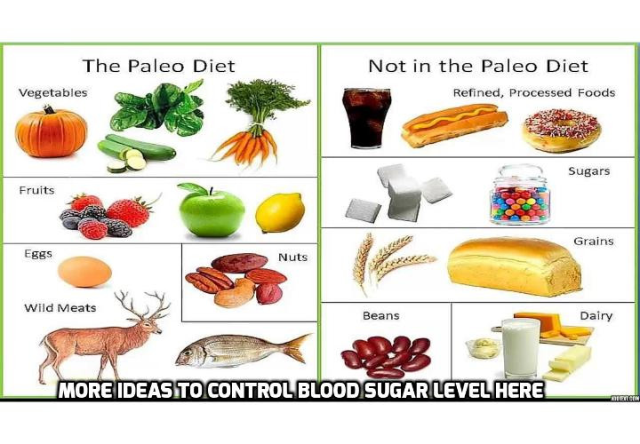 Paleo Diet And Type 1 Diabetes
 You Can Control Blood Sugar Level with Paleo Diet