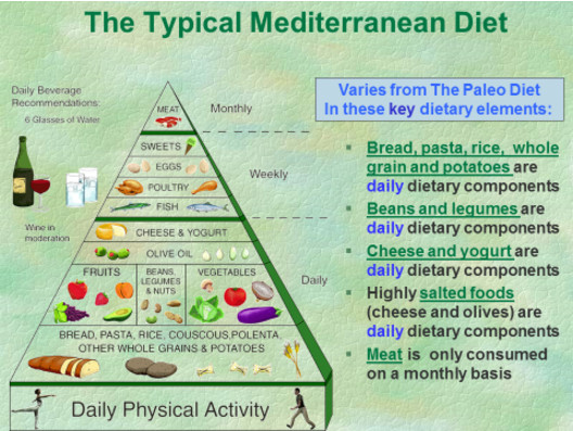 Paleo Diet Criticisms
 Paleo Meal Plan Paleo Diet Benefits
