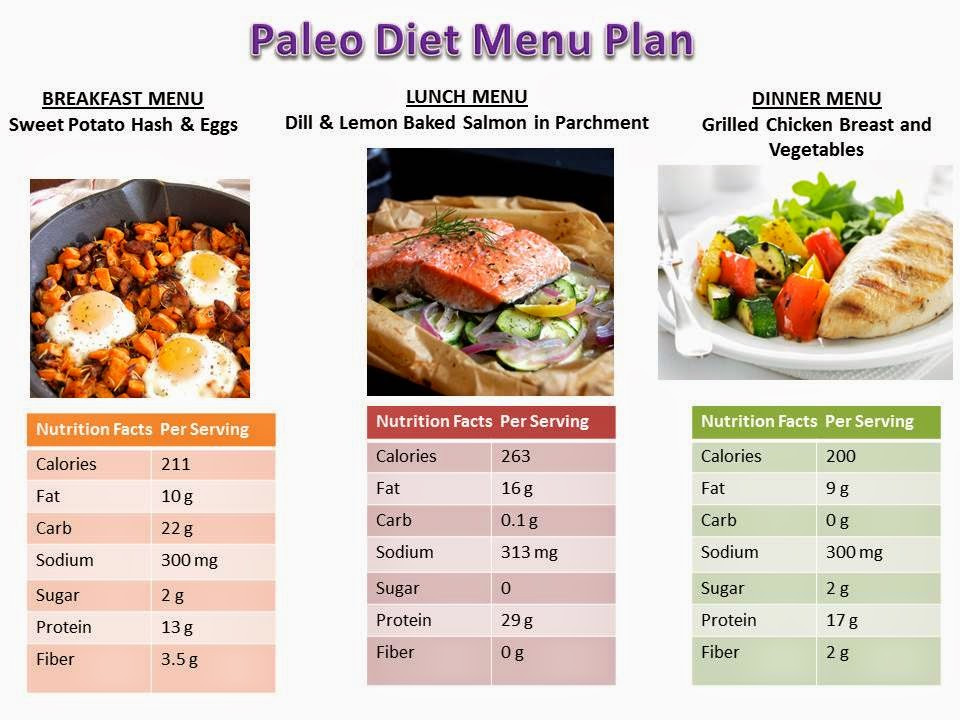 Paleo Diet Delivered Review
 line Diet Meal Delivery