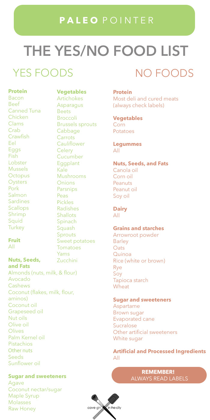 Paleo Diet Foods List
 Paleo Pointer The Yes No List