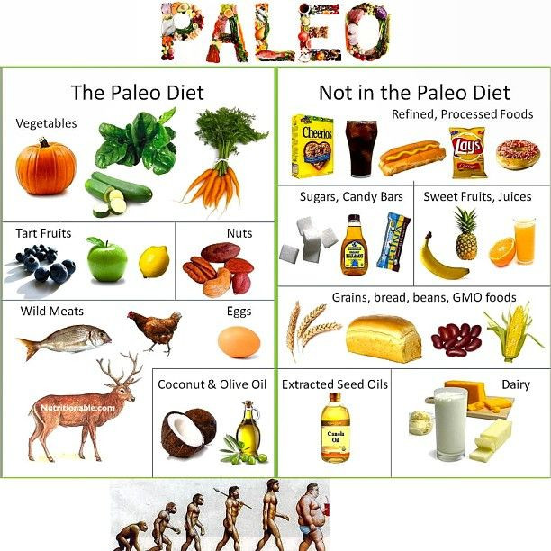 Paleo Diet Restrictions
 Paleolithic Diet History As Appropriate