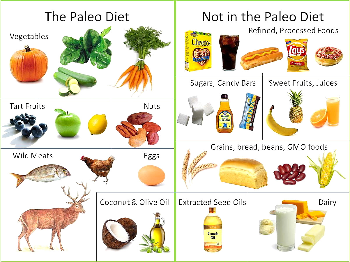 Paleo Style Diet
 “Diets like clothes should be tailored to you”