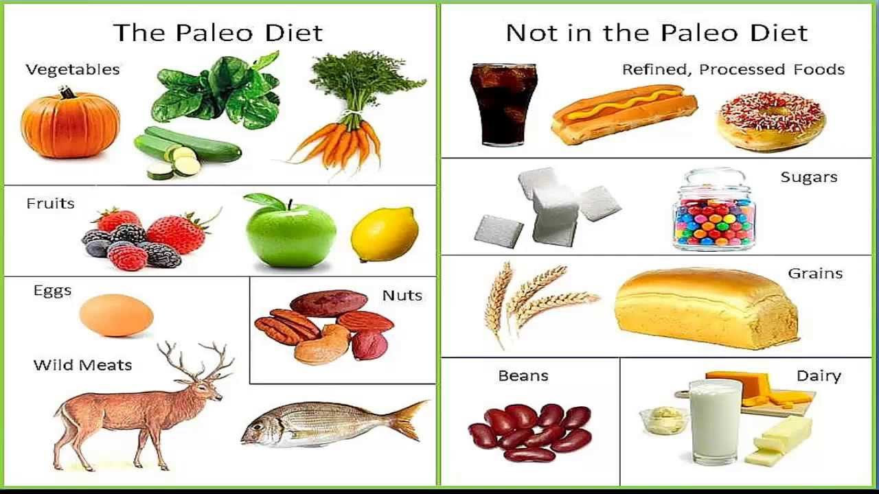 Paleo Style Diet
 Paleo Diet what is it should you try it Level 9 Fitness