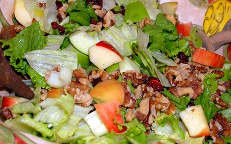 Paleo Style Diet
 Waldorf Salad Paleo Style from Dr Loren Cordain